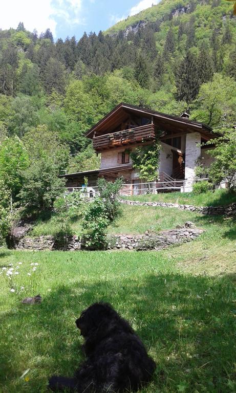 B&B Villa Ca'Praja Daone Kültér fotó
